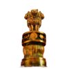 Ashoka Pillar A - Image 5